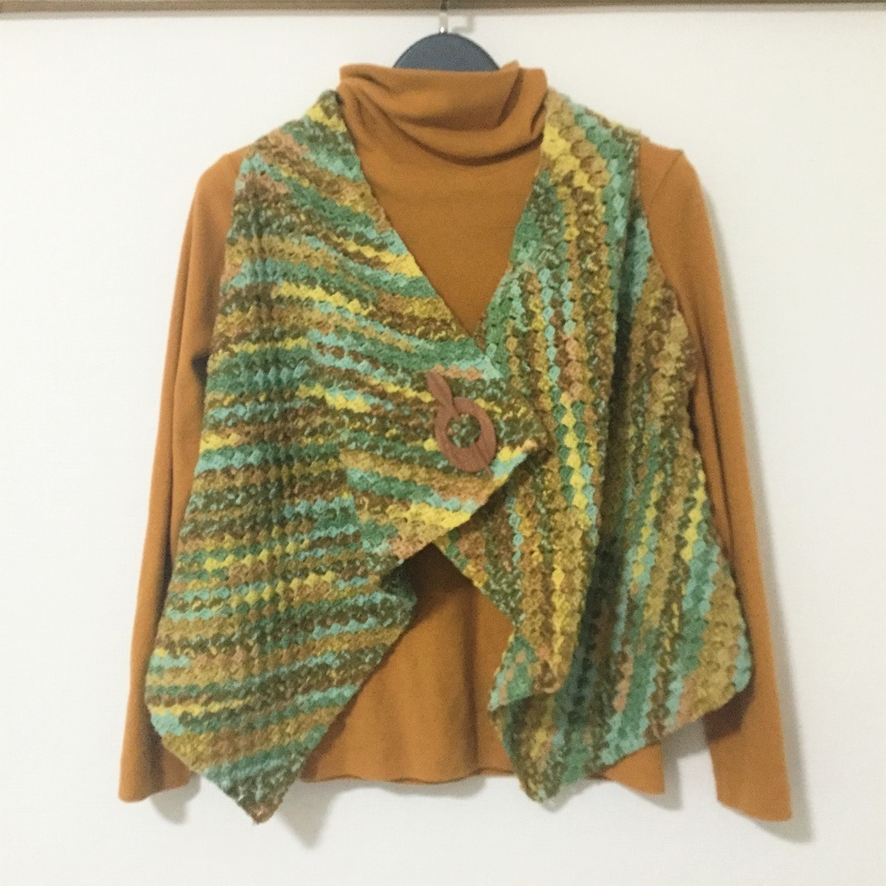 Opal毛糸でダイアゴナルステッチのベストを編みました！: 気まぐれ主婦
